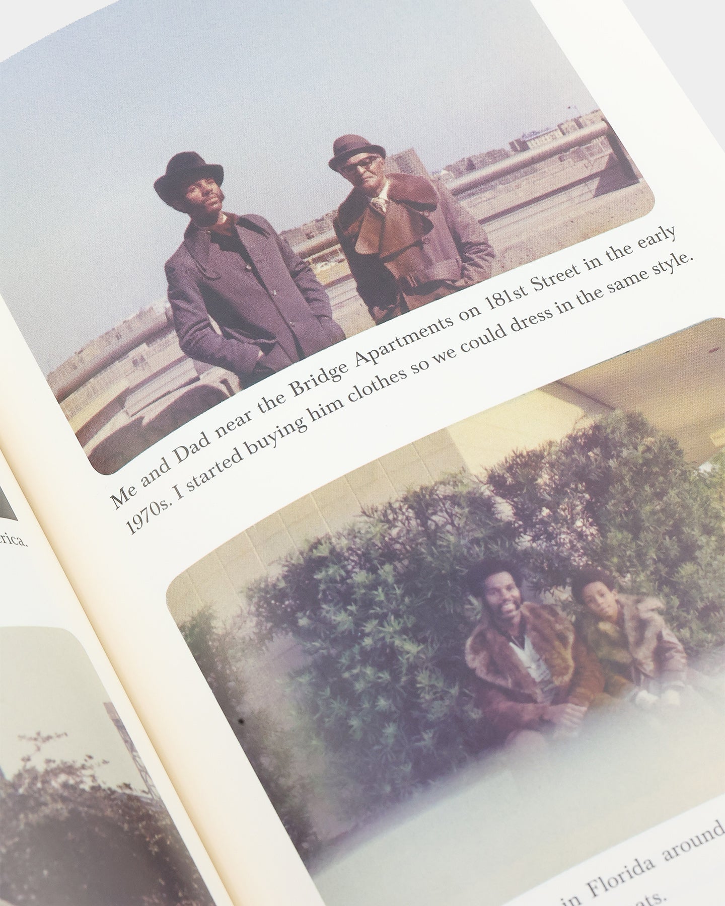 Brumby Estate Dapper Dan Book Multi-coloured